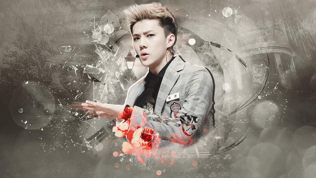 Report Abuse  Exo Sehun Wallpaper Iphone Transparent PNG  631x1011  Free  Download on NicePNG