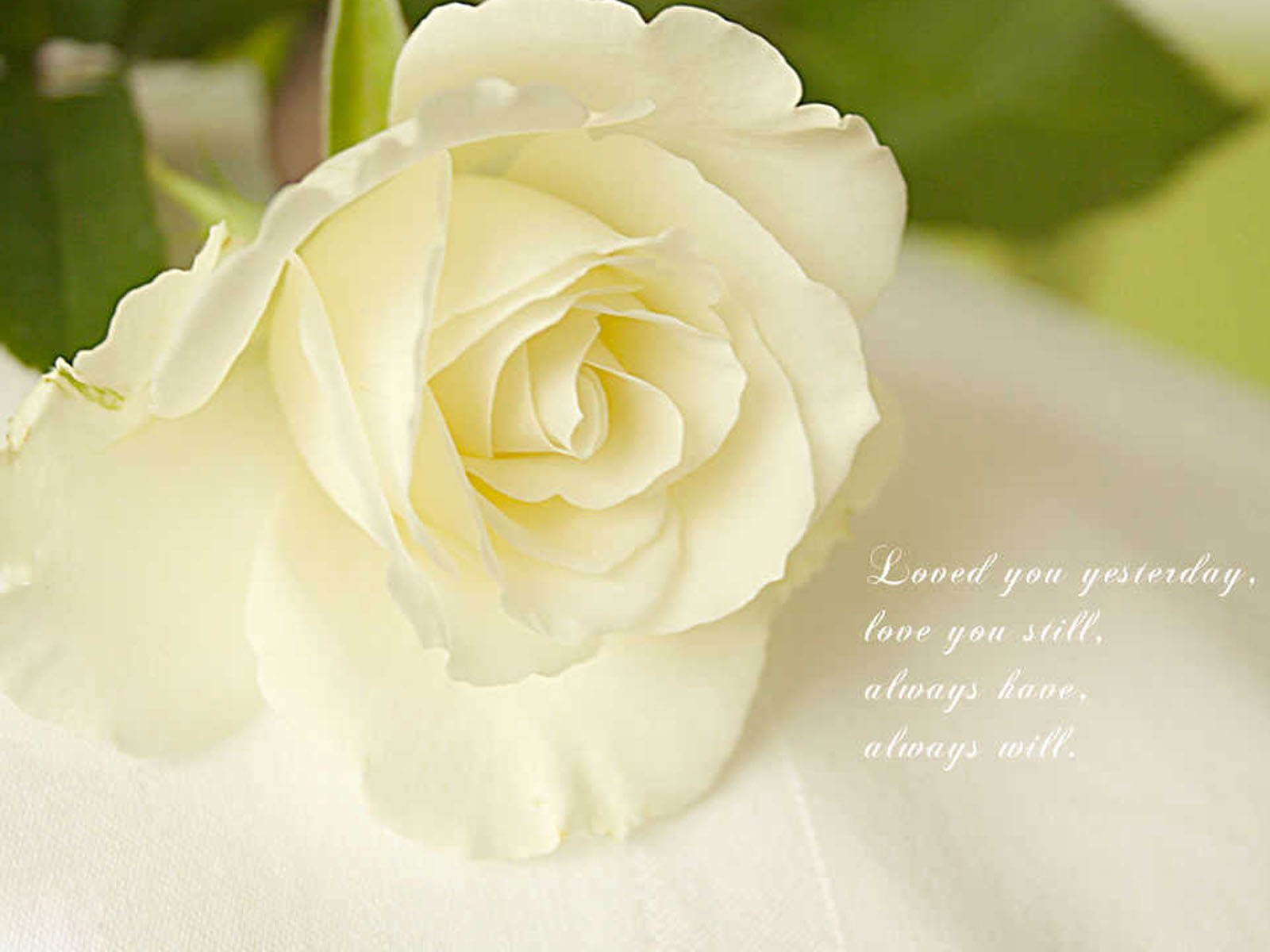 Love Quotes Background Wallpaper High Definition Quality