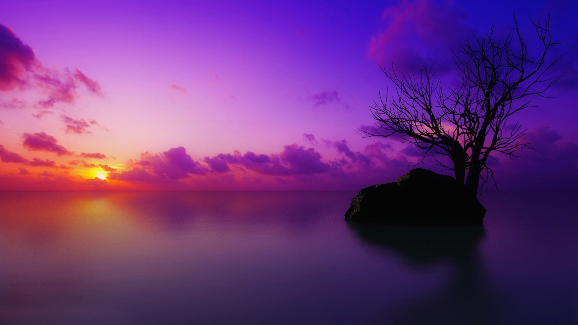 HD Purple Sunset 1920x1080px