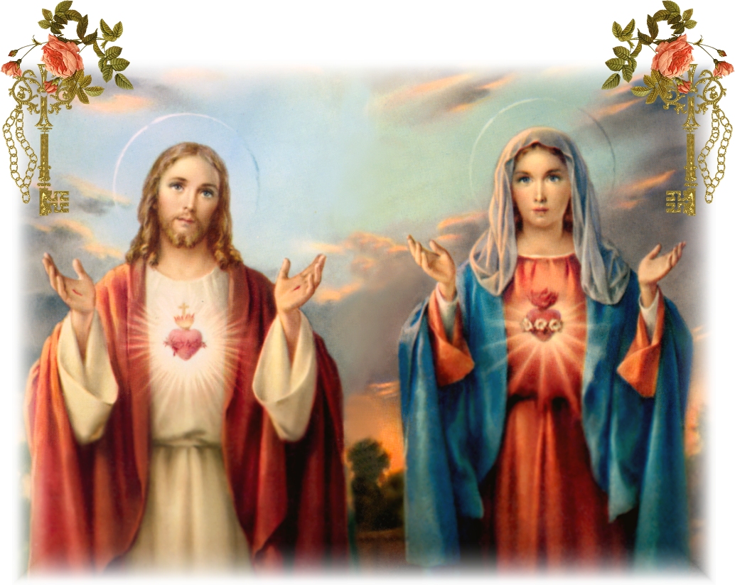 Is Jesus Christ The Geic Twin Of Blessed Virgin Mary Let S