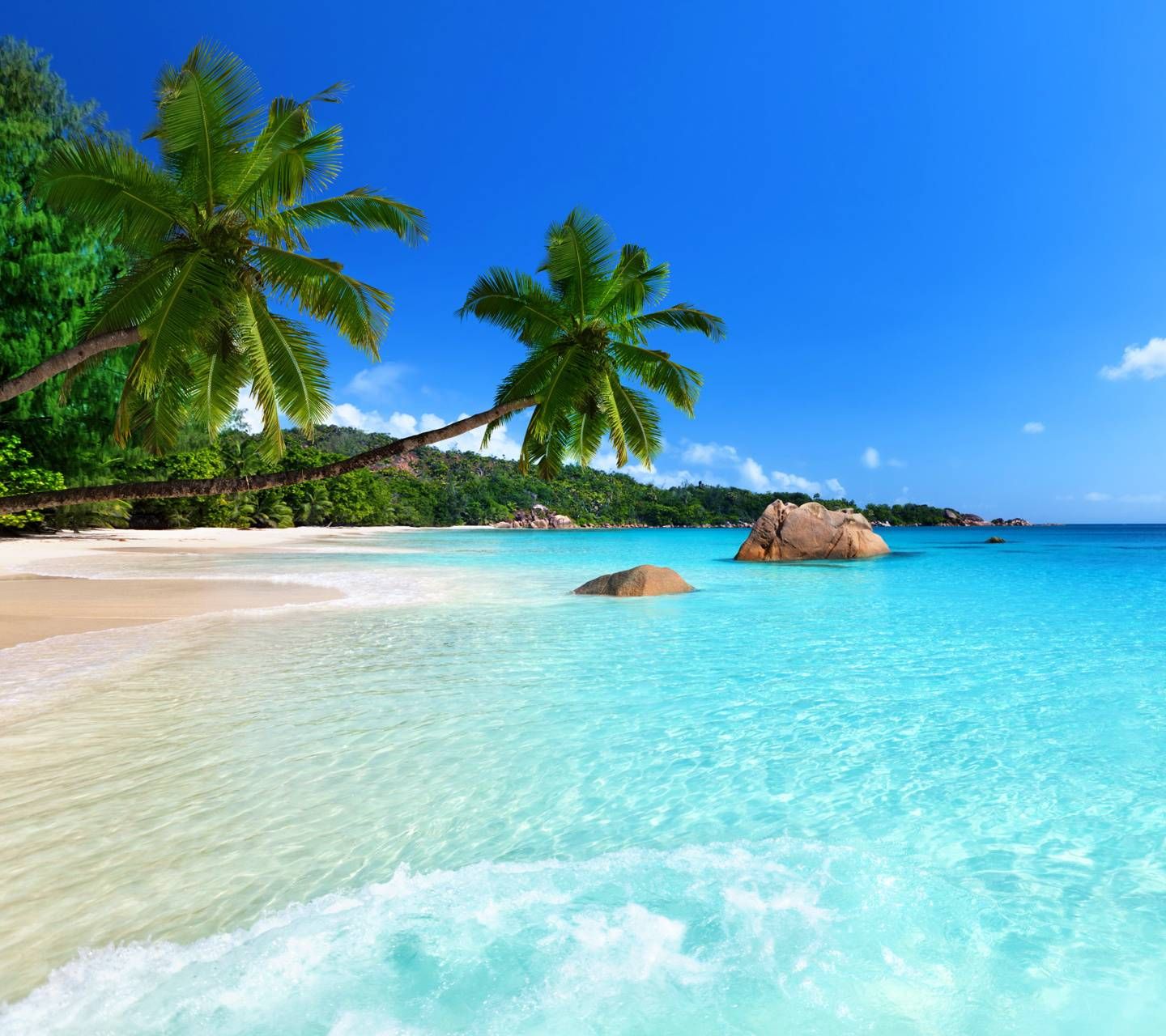 Tropical Beach Wallpaper By