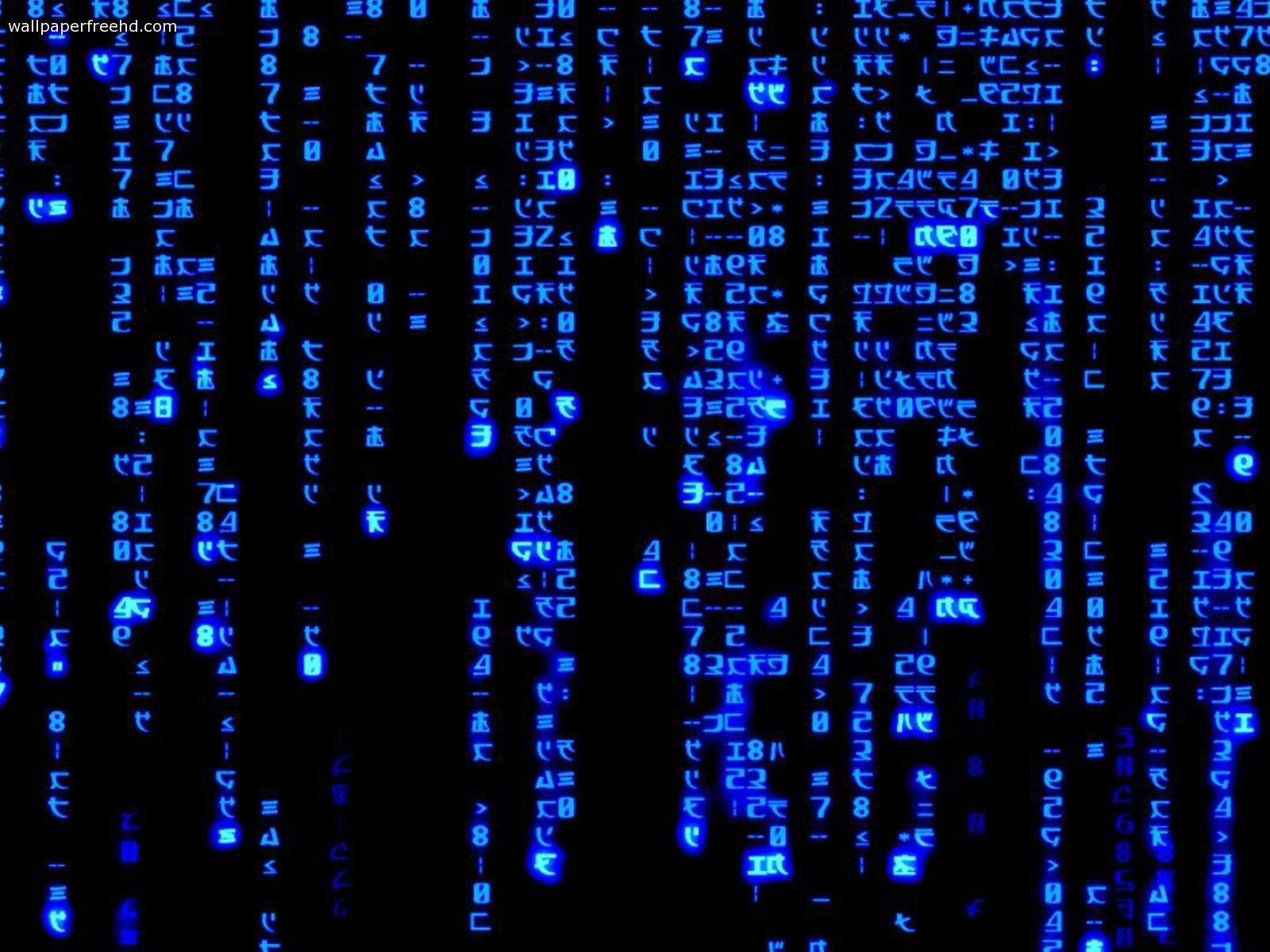Matrix Blue Binary Code HD Wallpapers High Definition Wallpapers