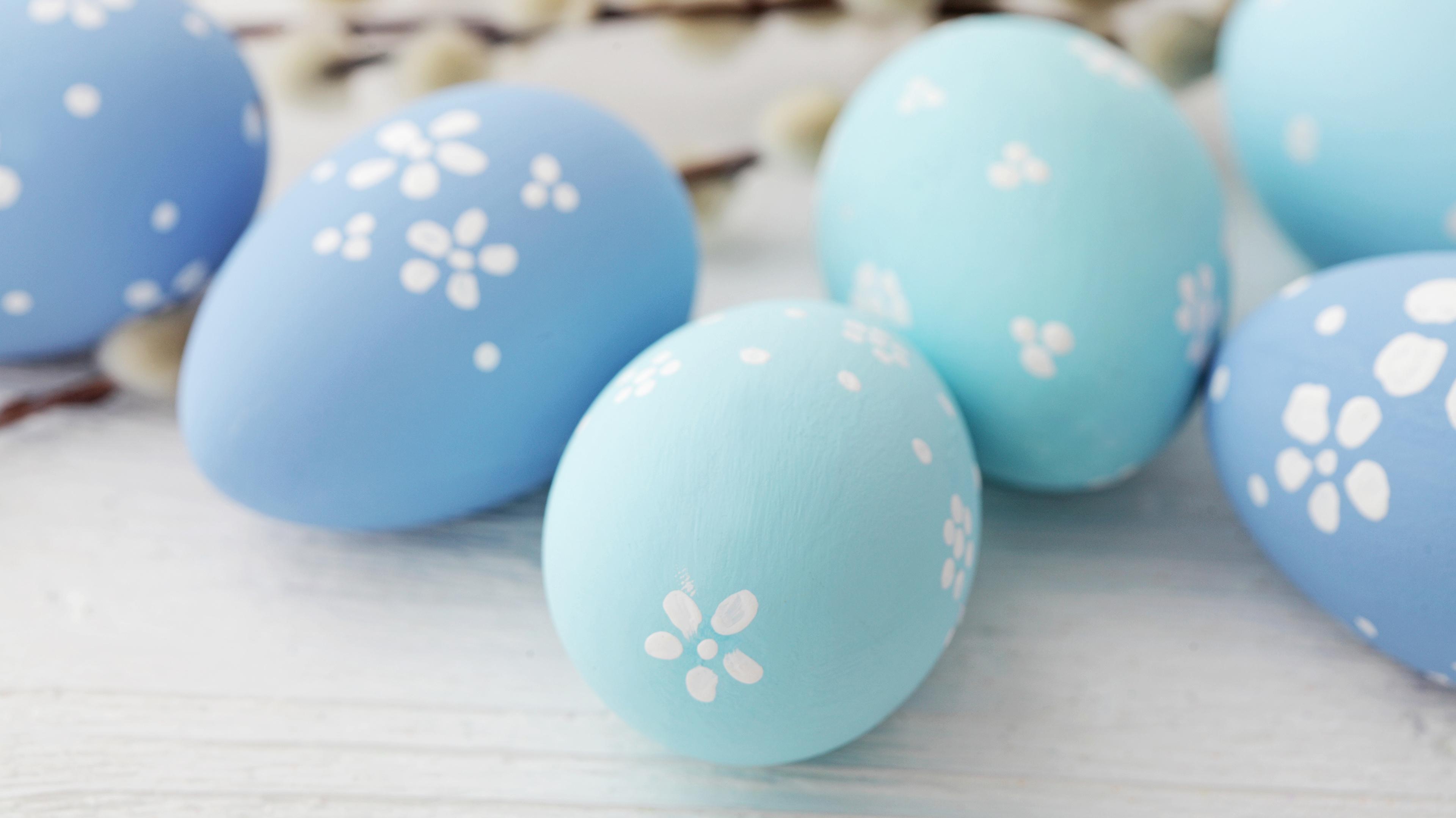 Picture Easter Eggs Light Blue Holidays