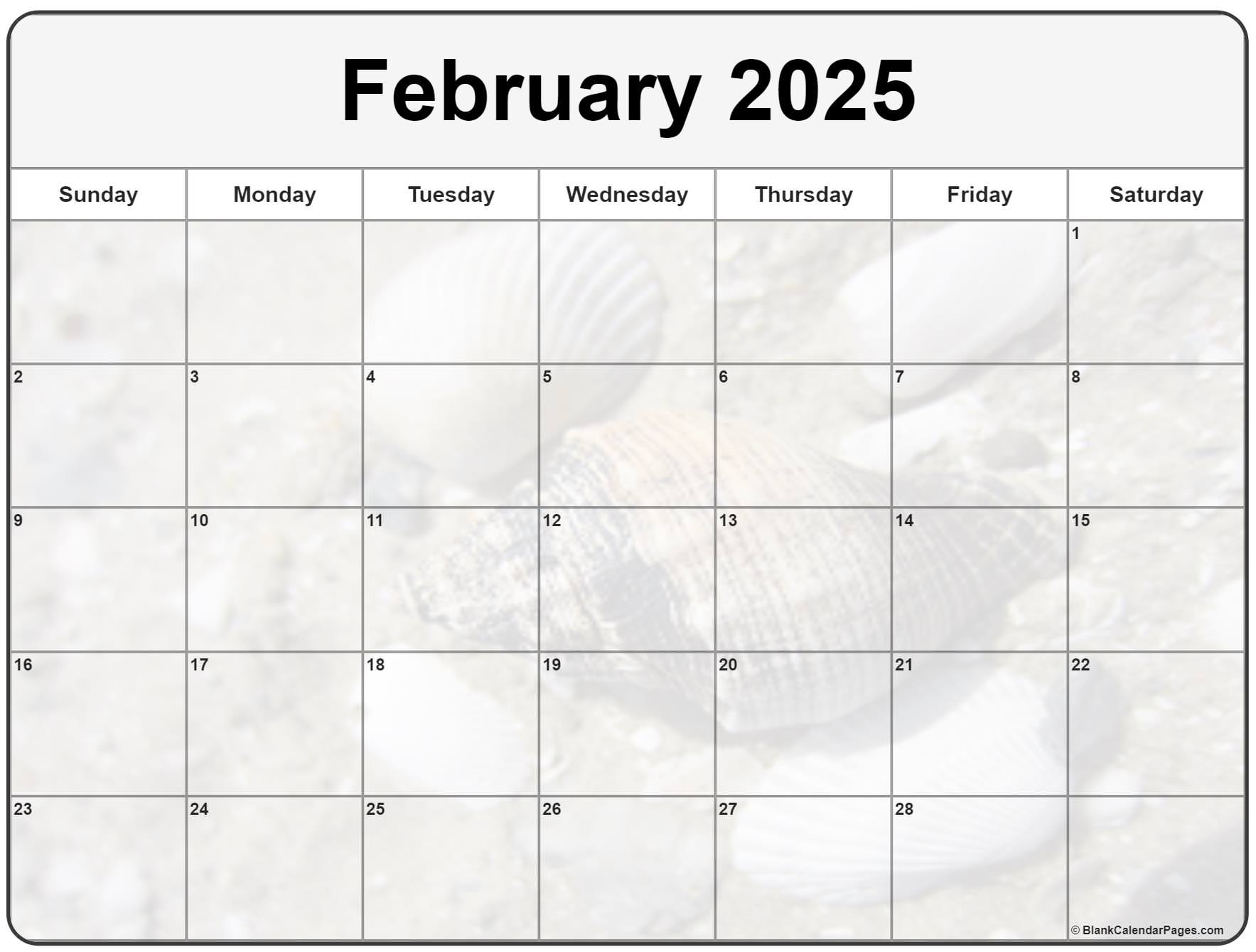 February 2025 calendar with a seashell background