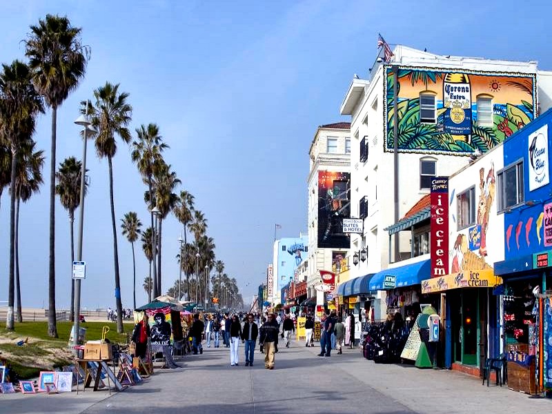 Venice Beach California By Puddlz