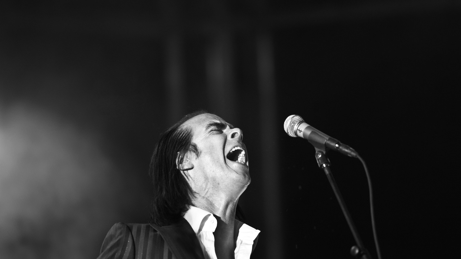 Nick Cave The Bad Seeds Music Fanart Tv