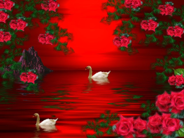 Wallpaper Flower Rose Love 42 pictures