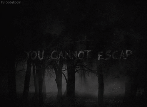 Darkness Depressing Quote Escape Forest Reality Text