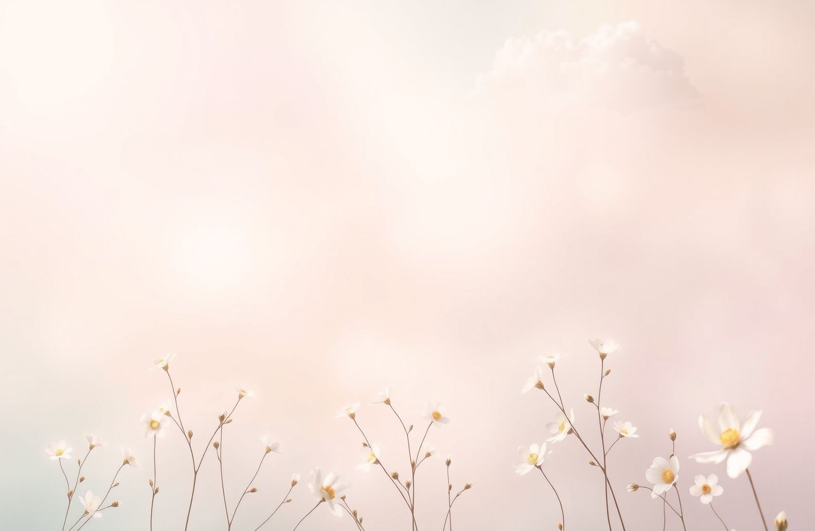 Aesthetic Wallpaper