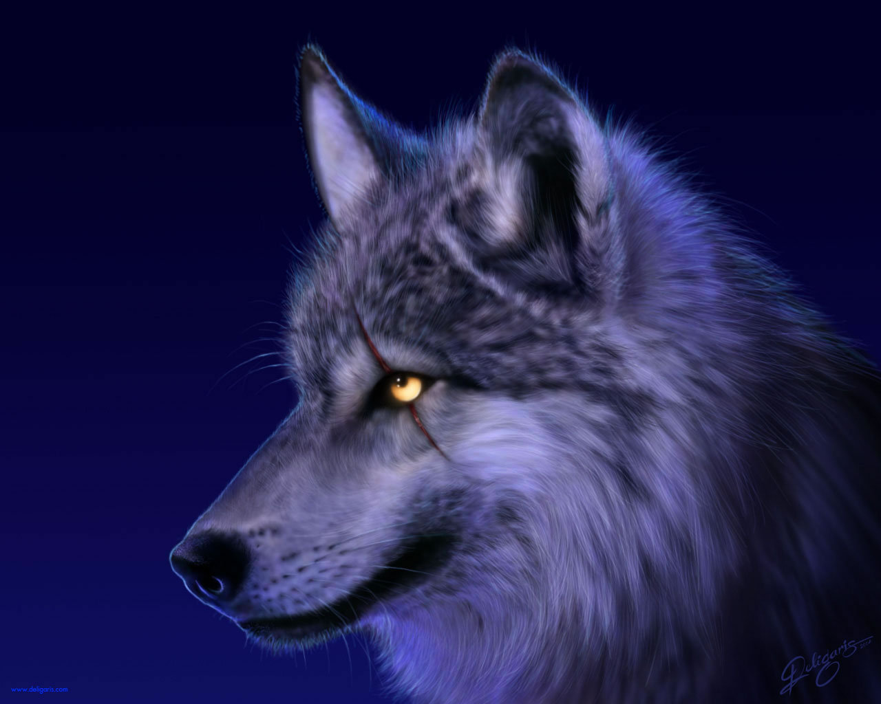 Wolves Image HD Wallpaper And Background