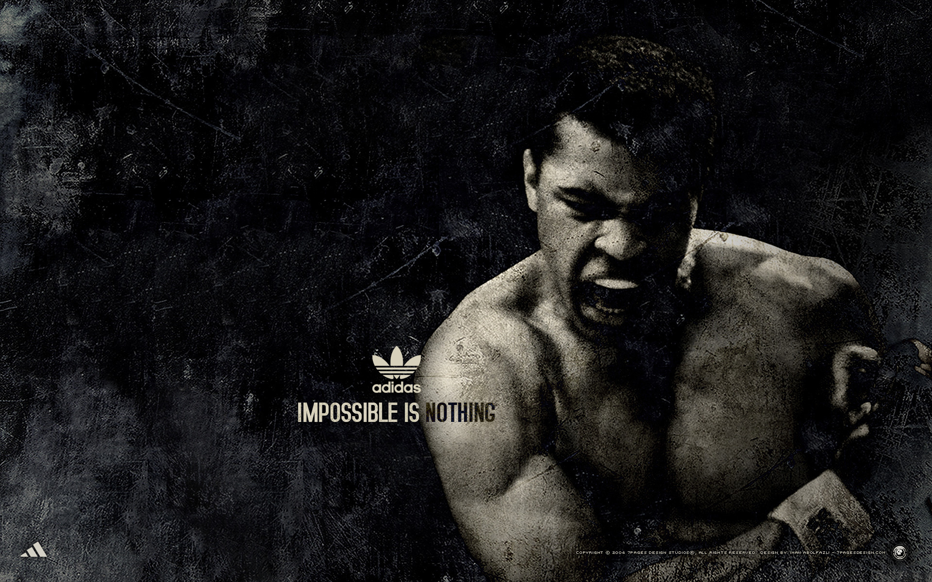 Muhammad Ali Wallpaper The Boxer Sports Adidas