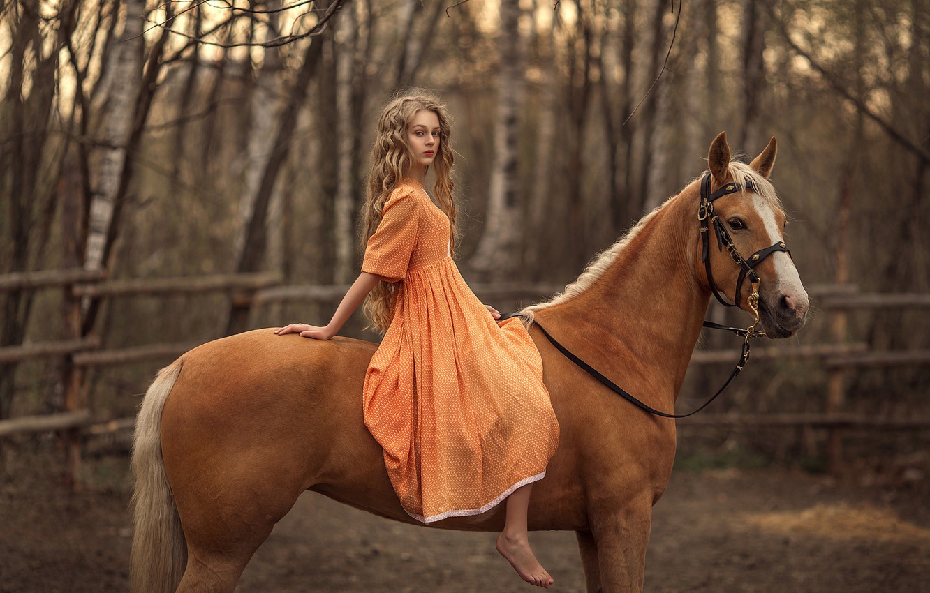 Wallpaper Horse Girl Sitting Long Haired Rus Image For