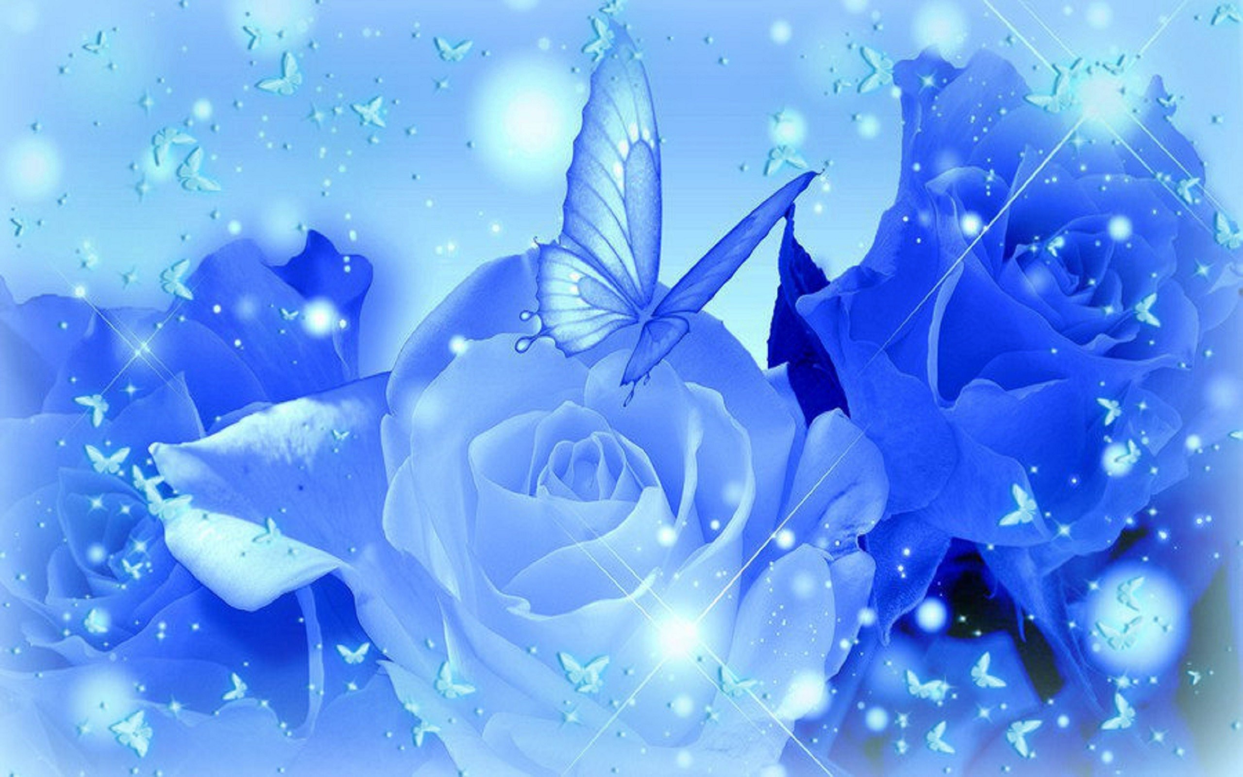 Rose Desktop Wallpaper