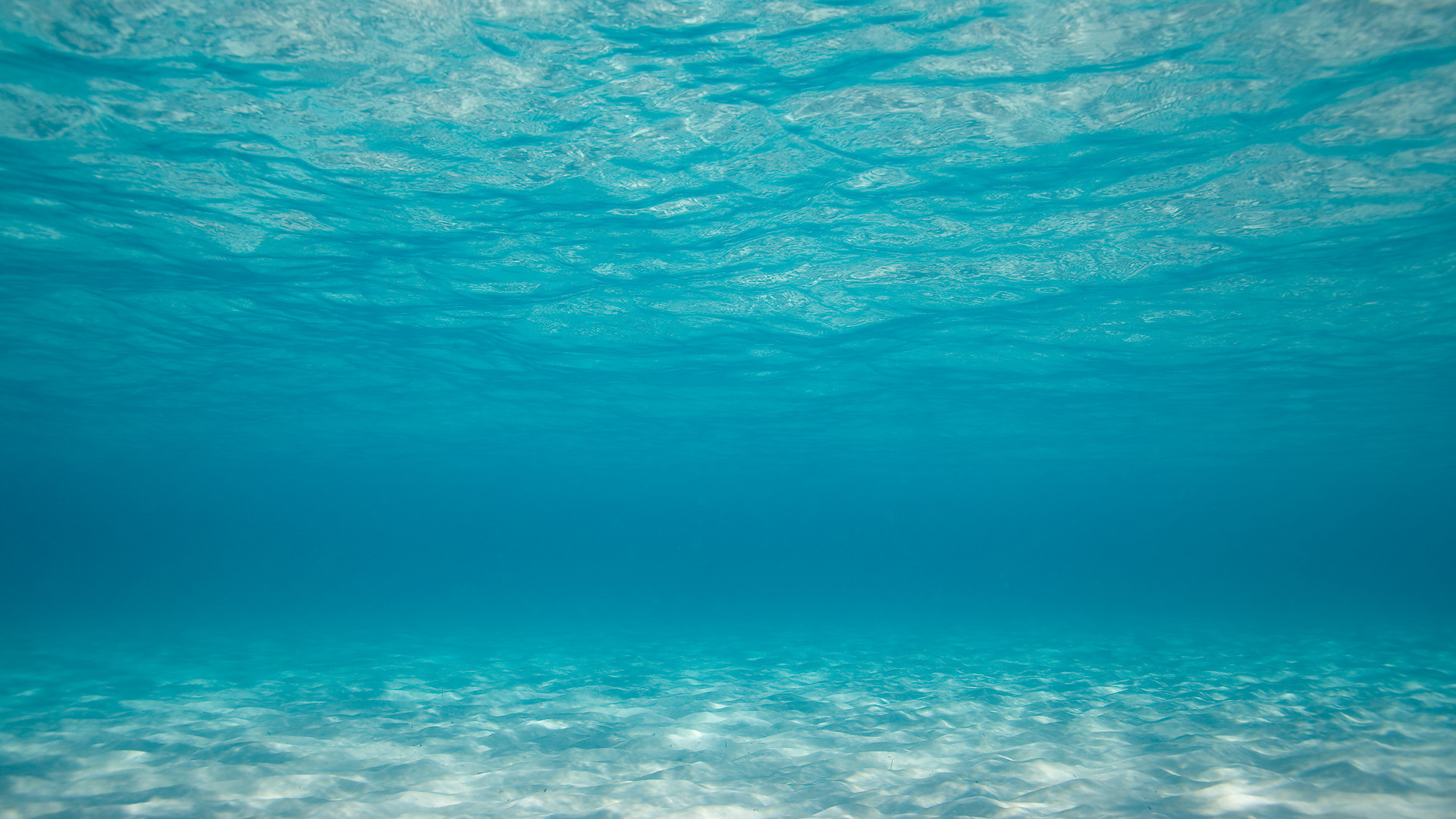 Animated Underwater Ocean Background