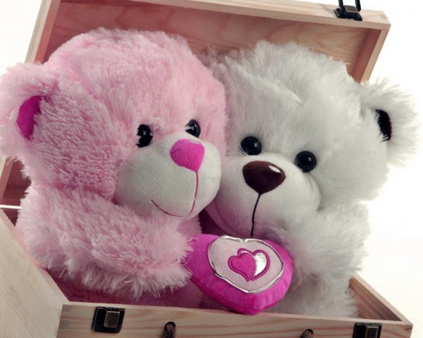 Happy Teddy Day HD 3d Image Wallpaper Pictures