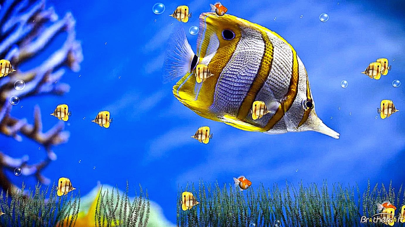 Marine Life Aquarium Animated Wallpaper