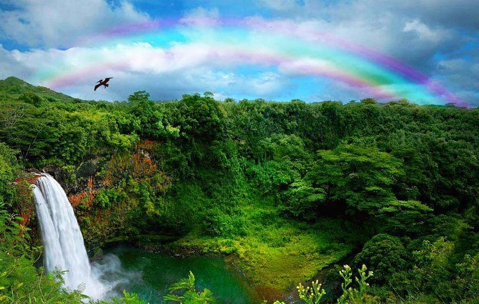 Waterfall in Kauai Hawaii wallpaper