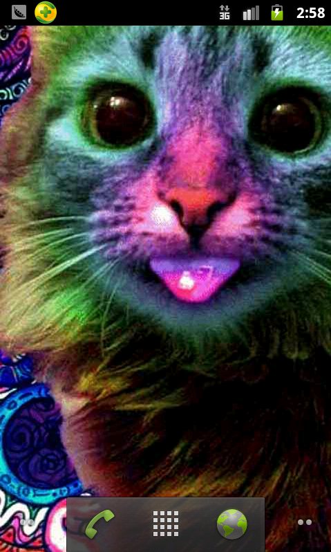 Colorfull Cat Live Wallpaper Android