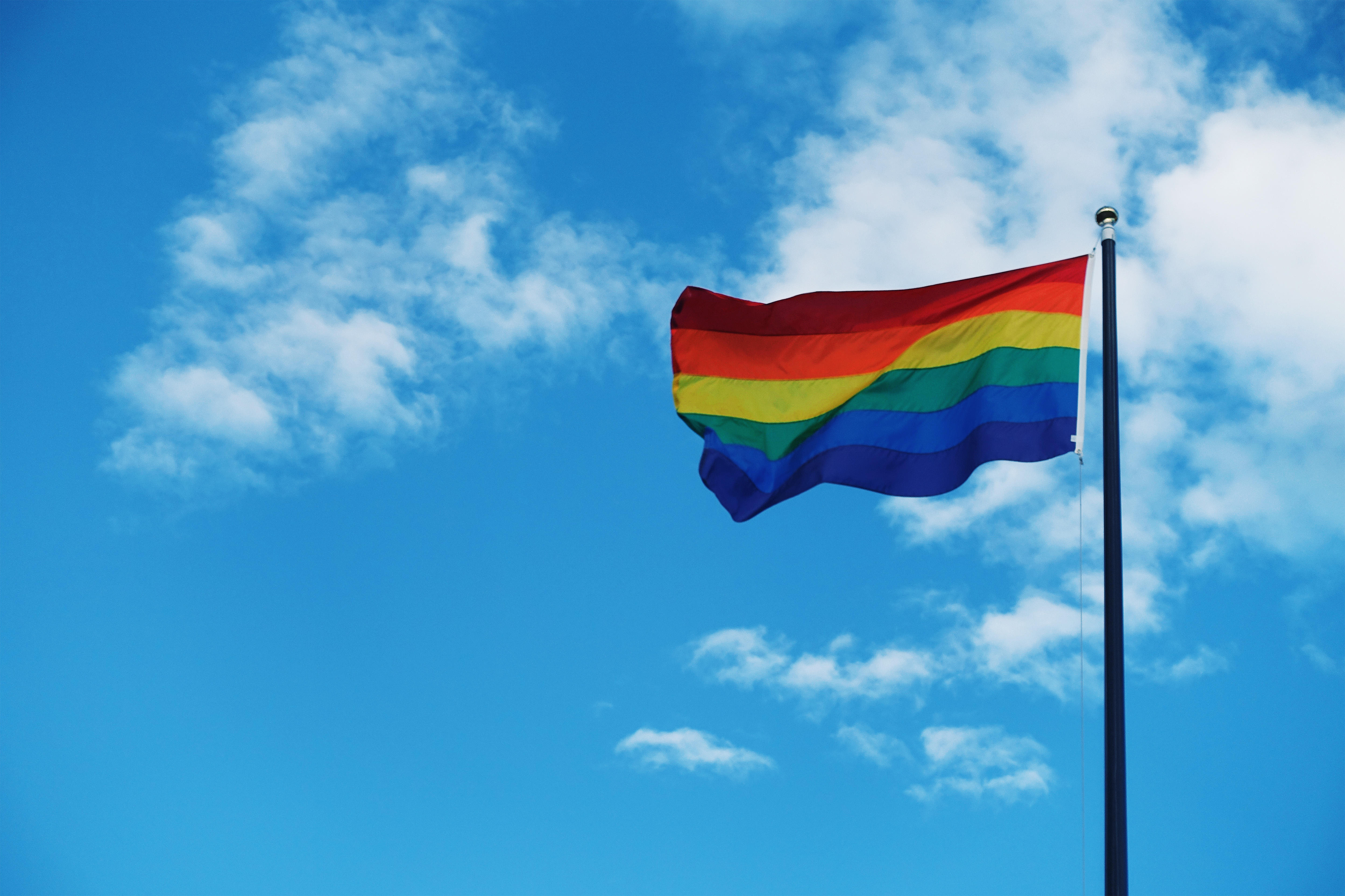 Gay Pride Flag Royalty Wallpaper