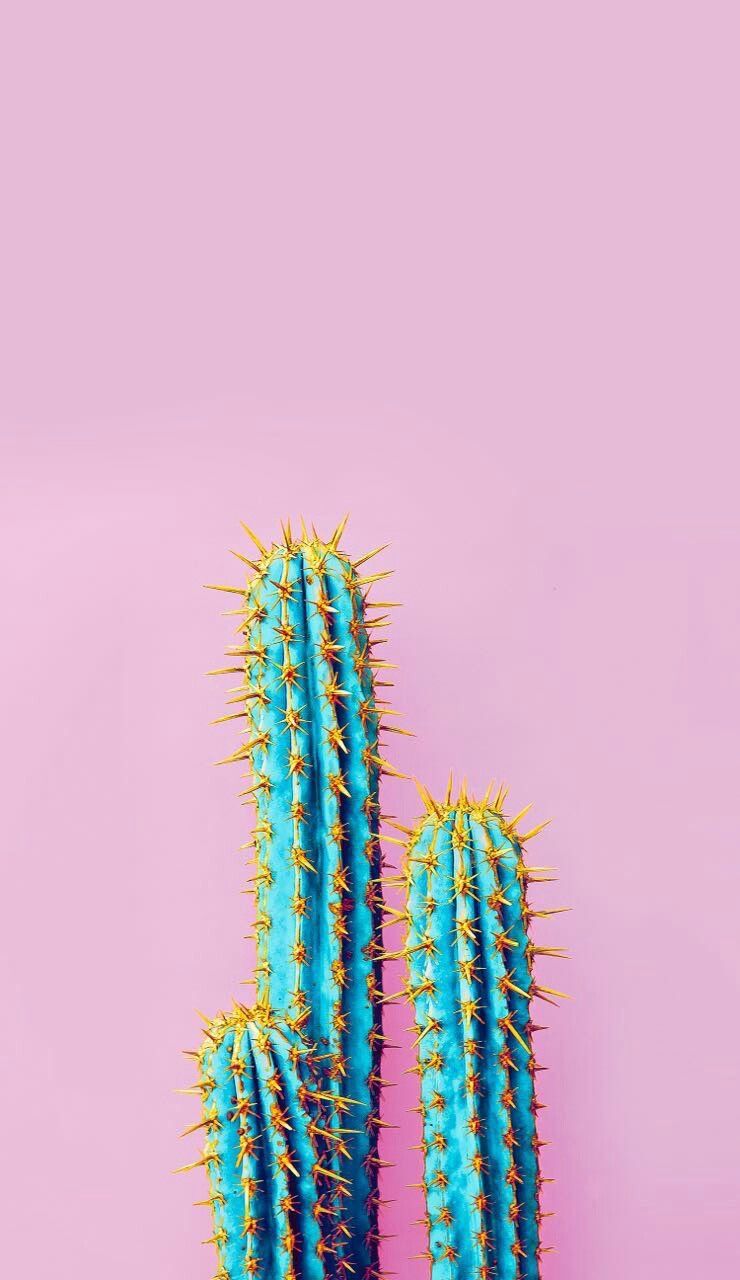 18cbcaf7db06e435845ce6d7f3933061 Wallpaper