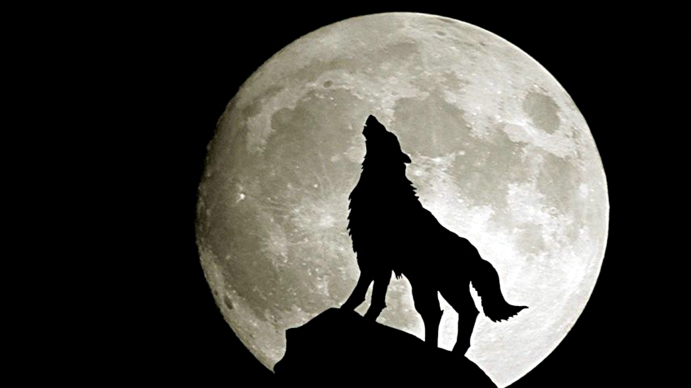 Moon Wolves Abstract Wallpaper Background Gallery
