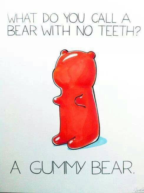 What Do You Call A Bear With No Teeth Funny Animal Photo