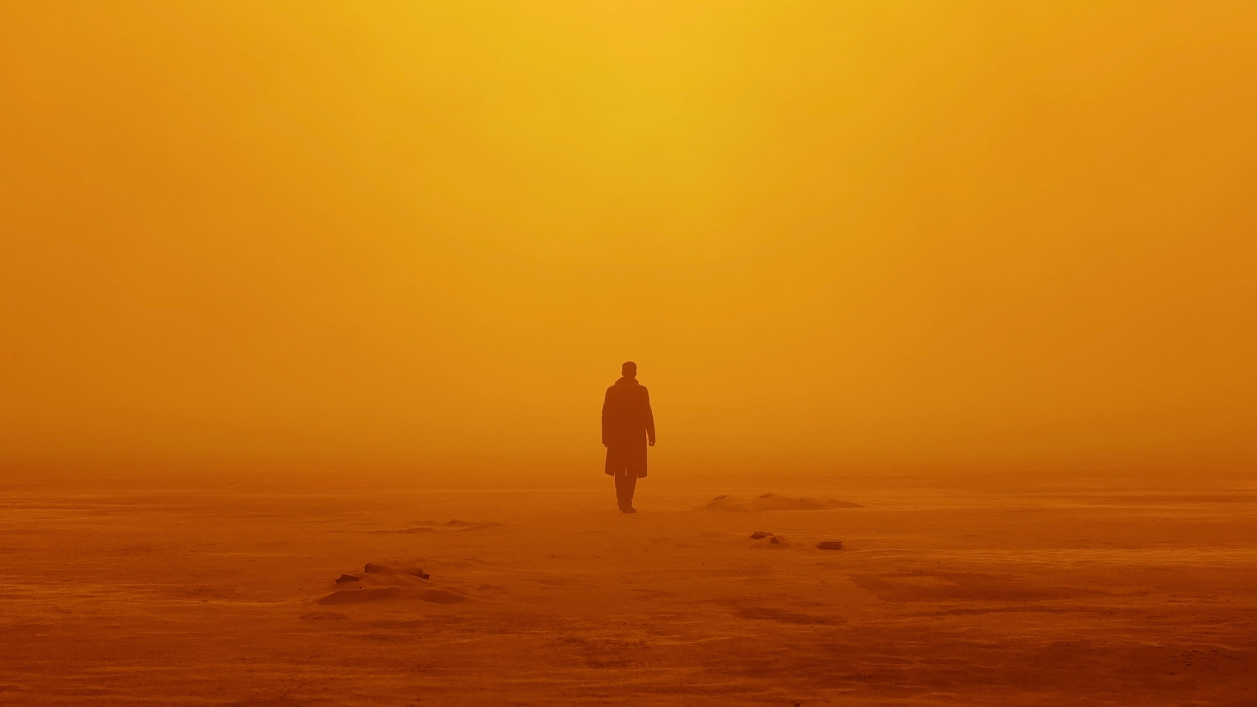 122042 Officer K Blade Runner 2049 Movies wallpapers and
