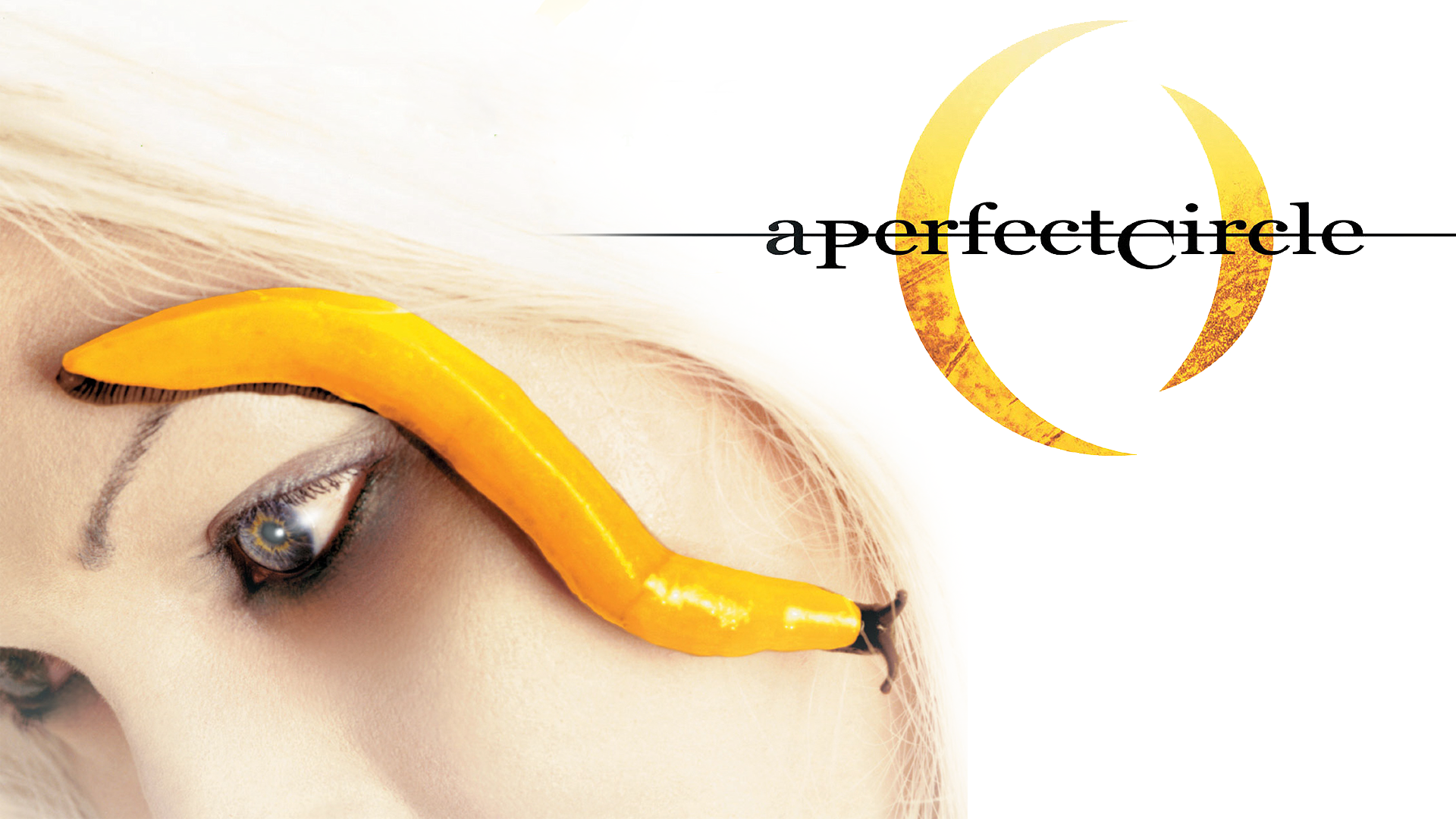 perfect circle wallpaper by sloas customization wallpaper other 2011