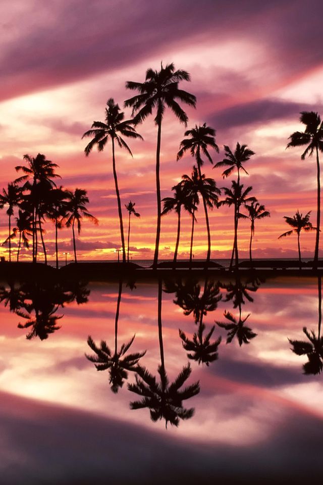 Nia On Wallpaper In Honolulu Beach Hawaii Sunset