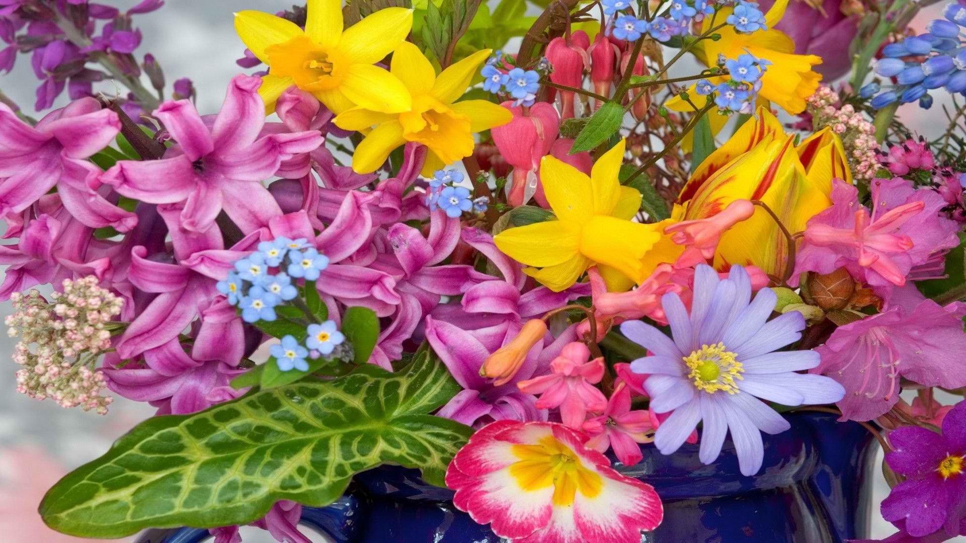 colorful flower wallpaper