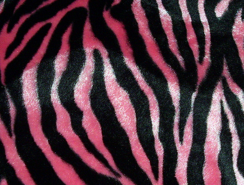 48+ Pink Zebra Wallpaper on WallpaperSafari