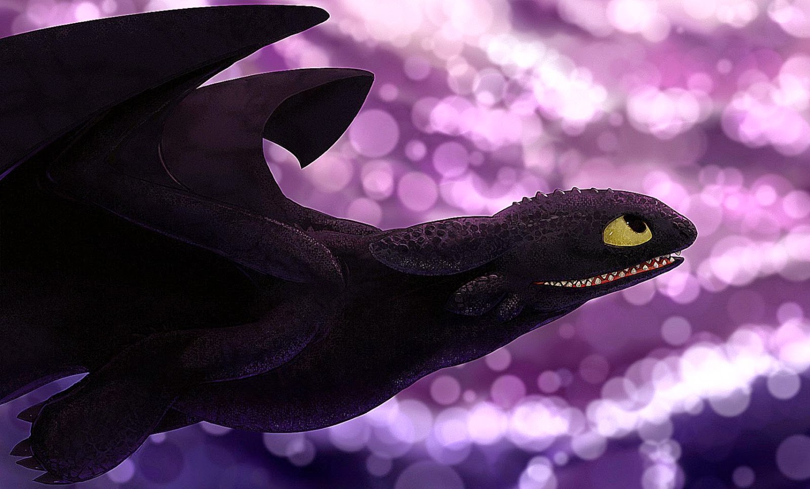Toothless The Dragon Wallpaper Cool HD Wallpapers 1600x967. 