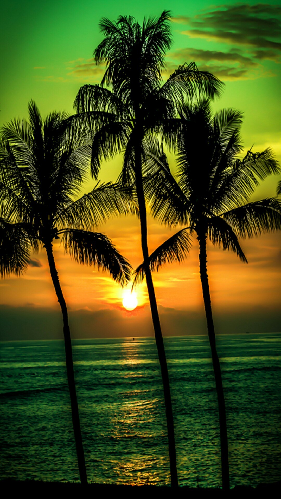 Palm Tree Wallpaper HD At Jerry Brown