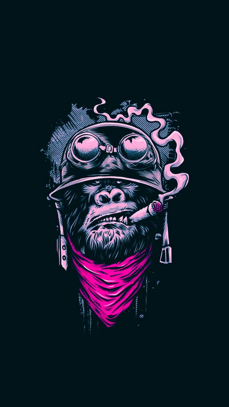 🔥 [50+] Monkey Iphone Wallpapers | WallpaperSafari