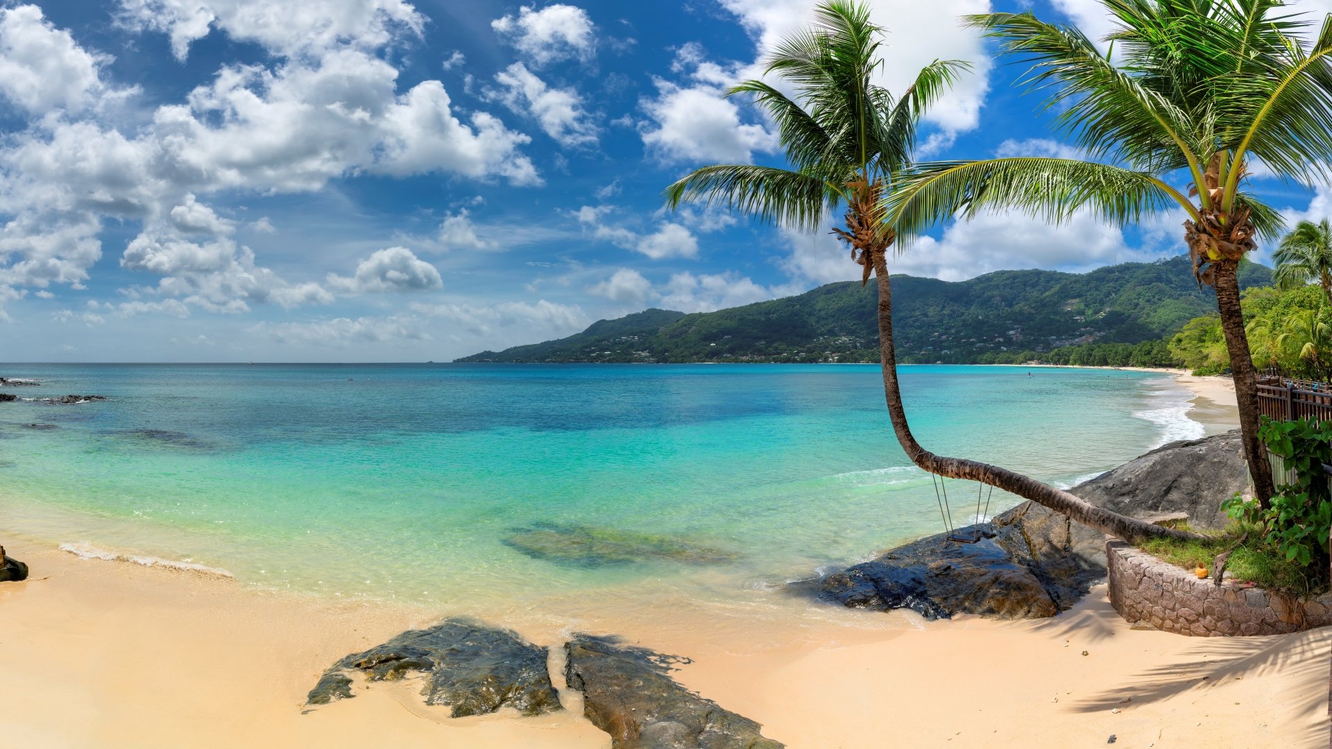 Tropical beach paradise with palm trees and turquoise water in 4k