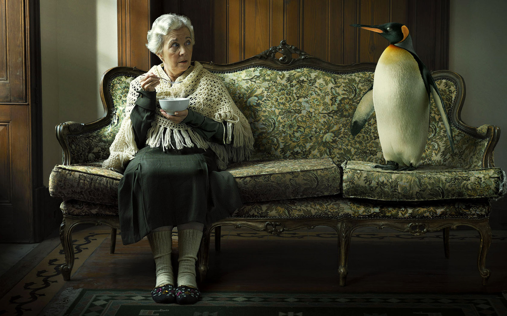 Old Lady Penguin Funny Humor Jokes