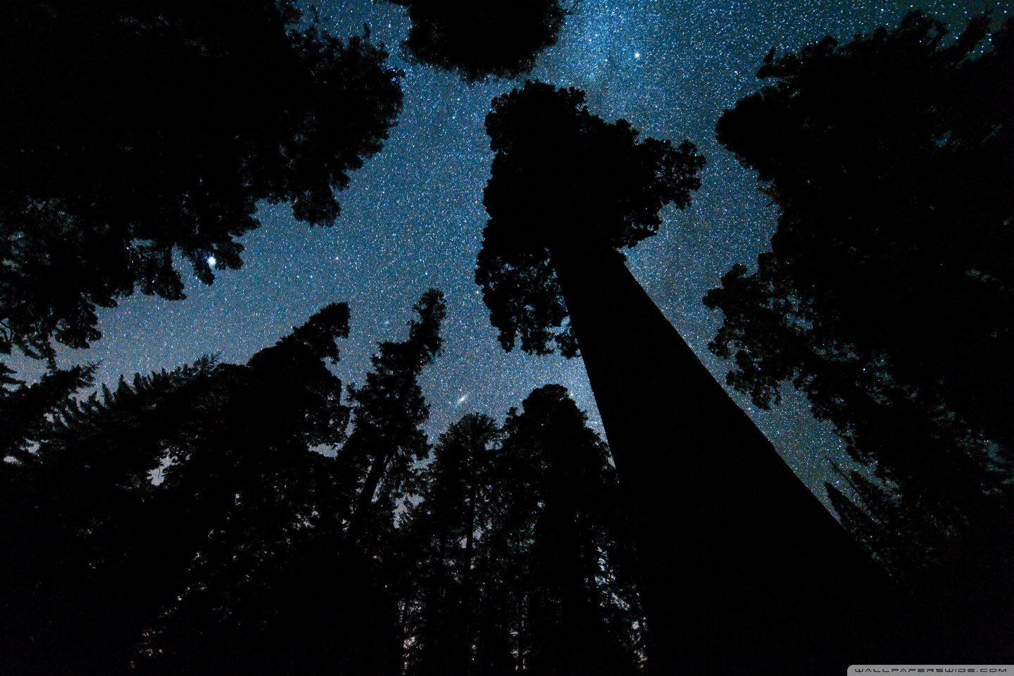 Andromeda And The Milky Way Above Oregon 4k HD Desktop
