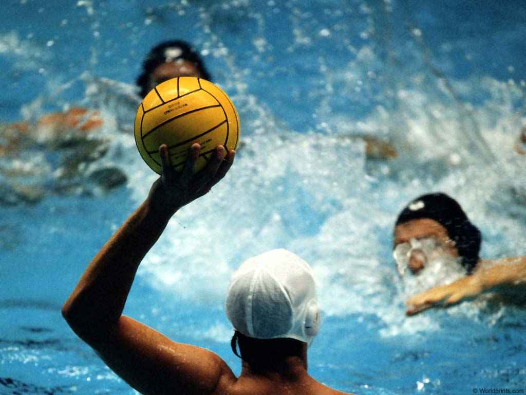Water Polo Wallpaper And Image Pictures
