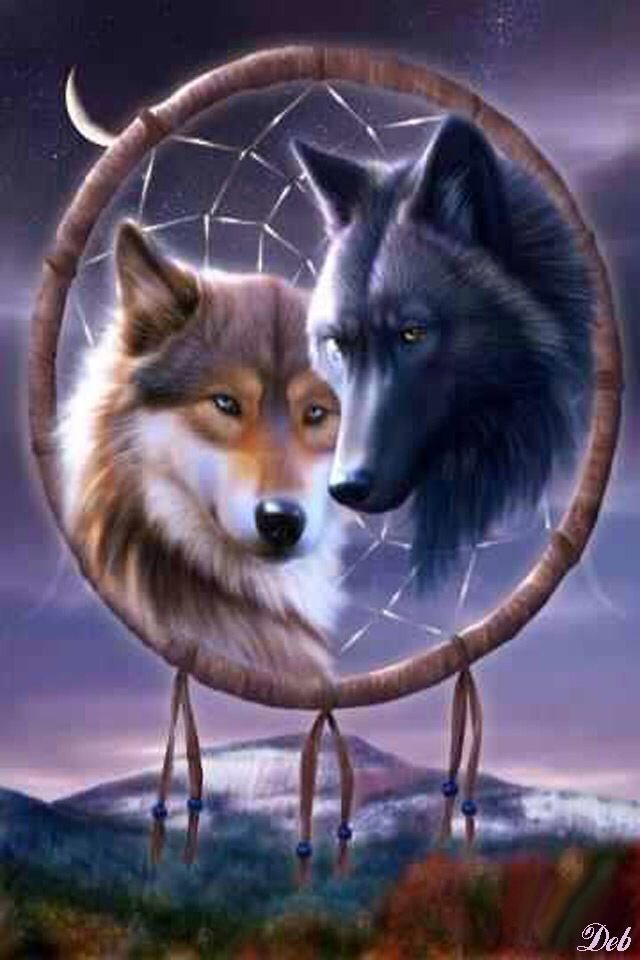 WOLVES DREAM CATCHER IPHONE WALLPAPER BACKGROUND CATCHER OF DREAMS