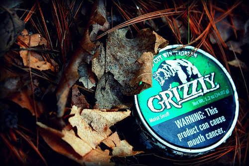 grizzly chew wintergreen