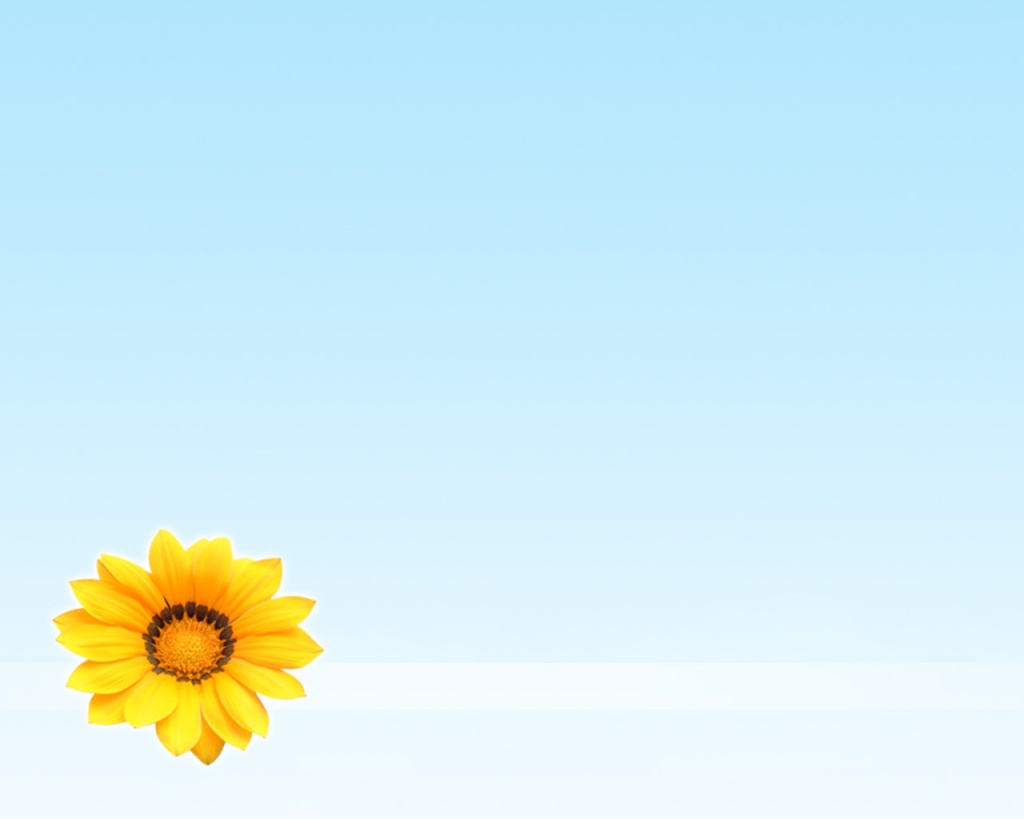 Summer Flower Desktop Pc And Mac Wallpaper
