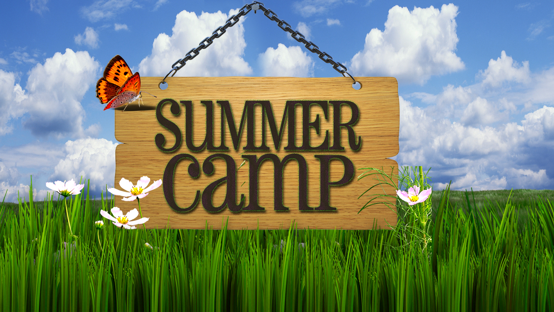 Summer Camps