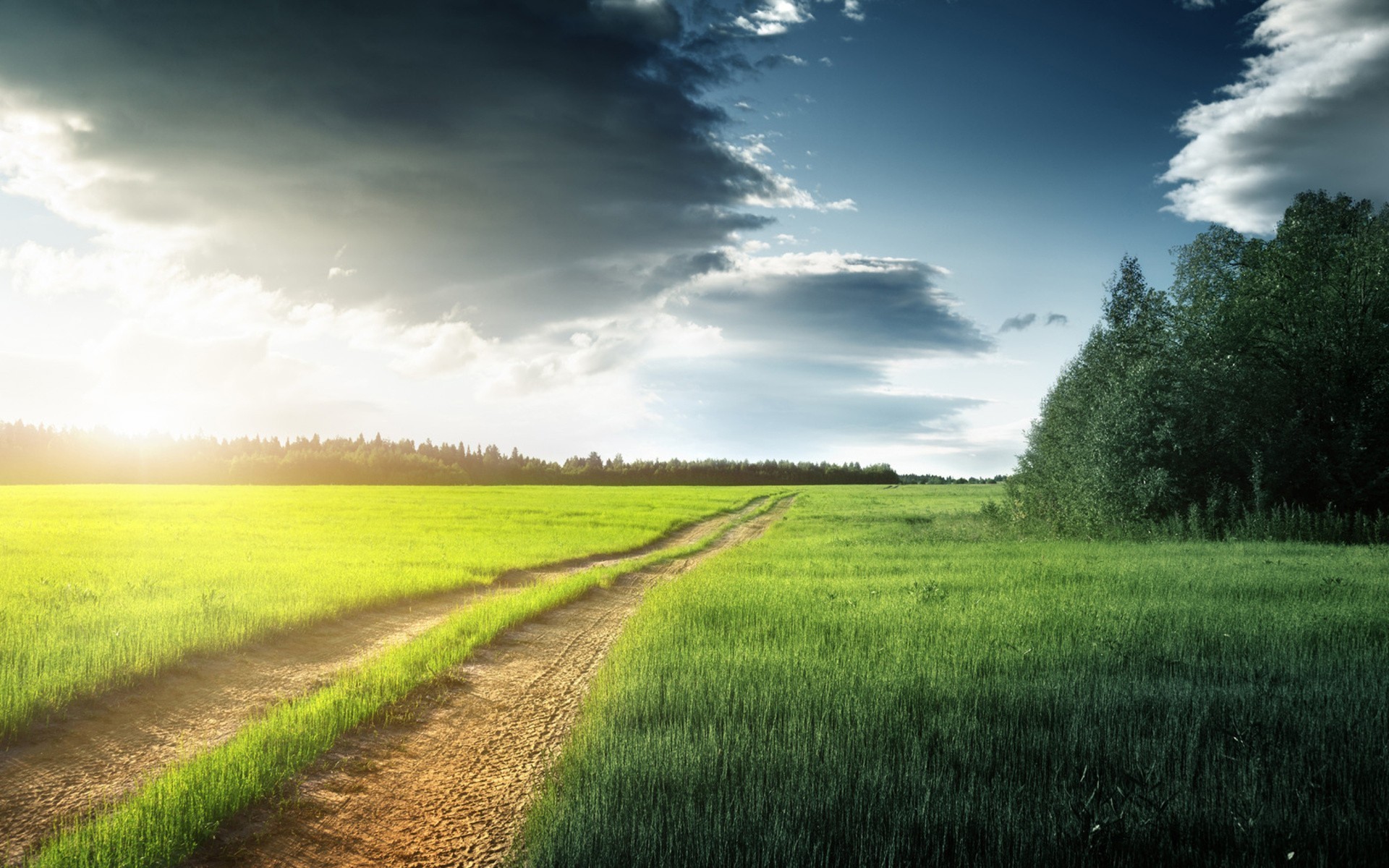Country Roads Wallpaper