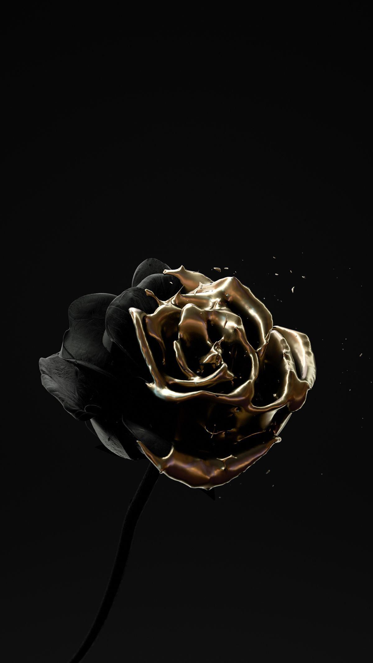 5fe1011a69bb2299cd774bf5f8891416 Wallpaper