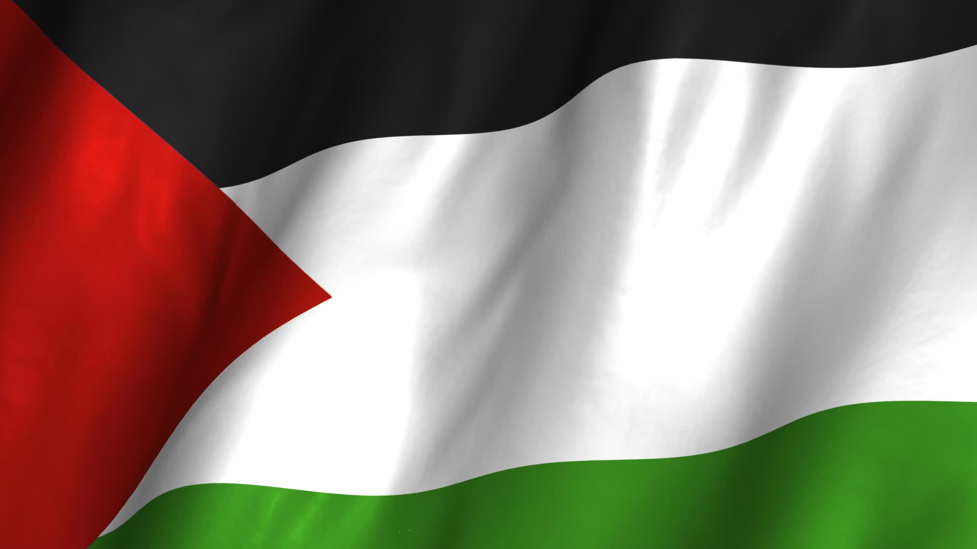 Palestine Flag Wallpaper Mixhd