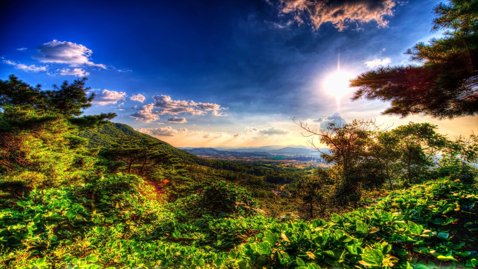 Landscapes Nature Forests Distance Valleys HDr Photography