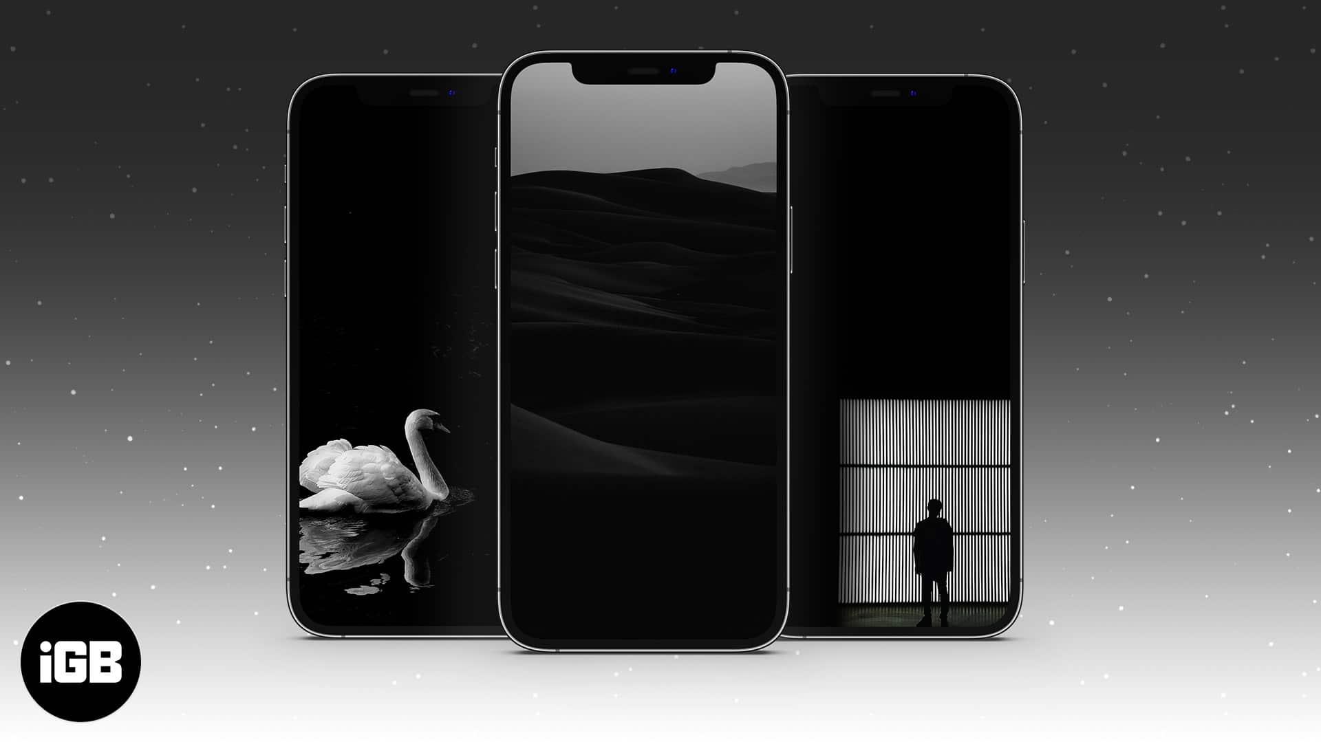 17 Beautiful black wallpapers for iPhone Free download   iGeeksBlog