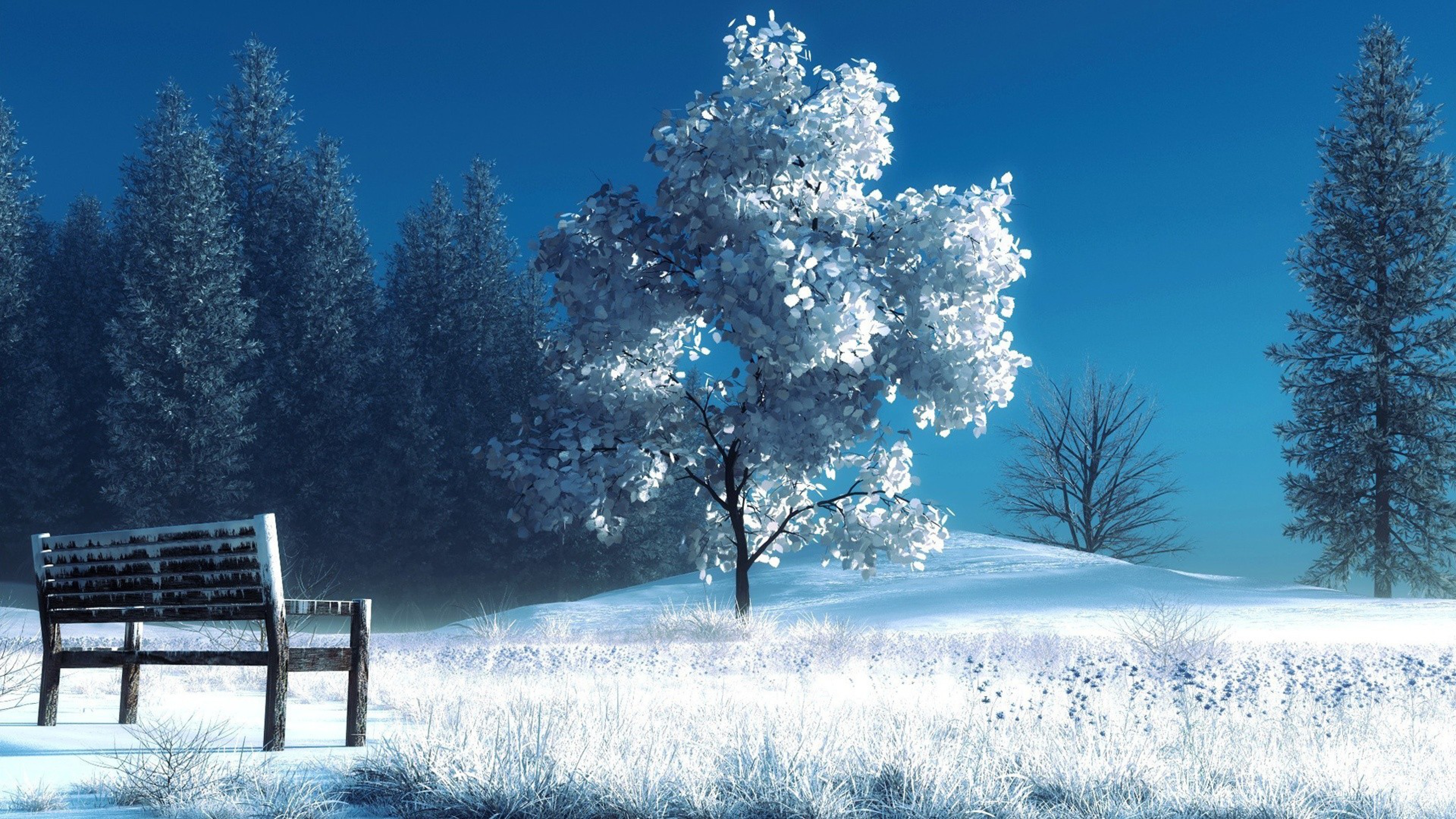  3840x2160 Winter Landscape Nature Snow Bench Trees 4K Ultra HD HD