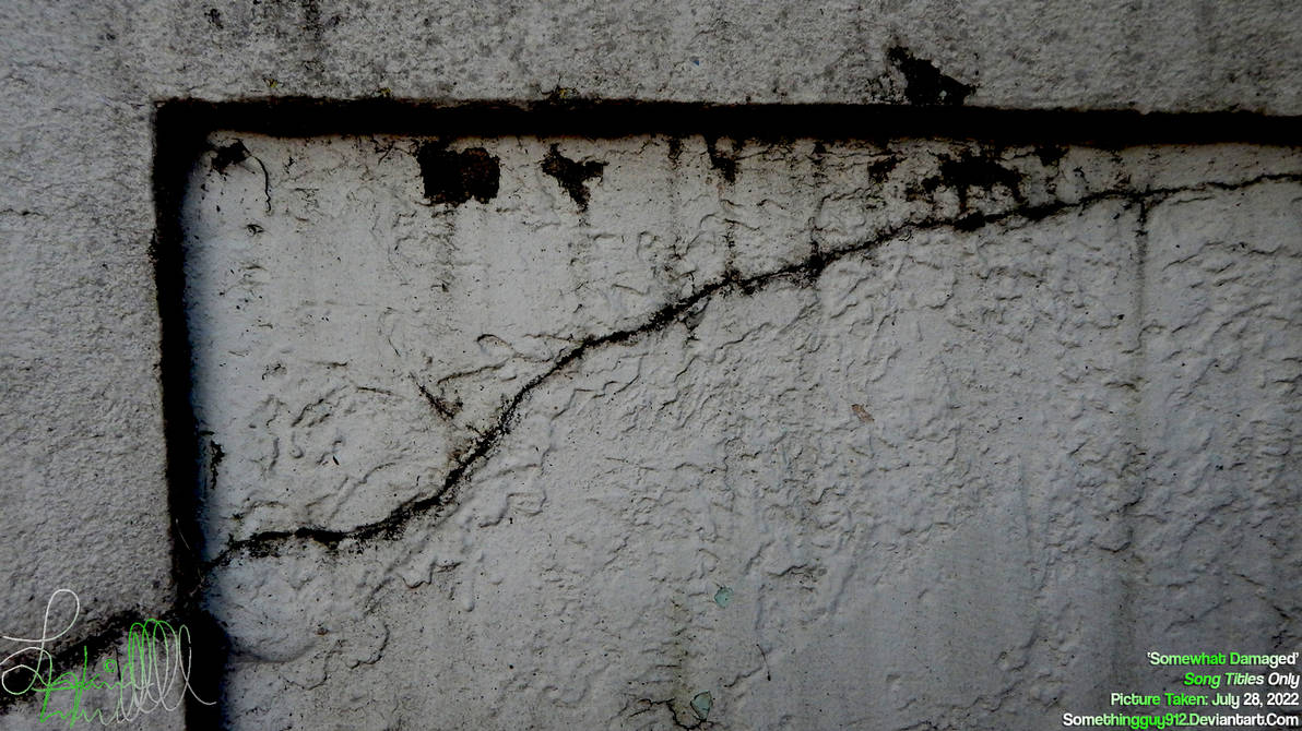 Somewhat Damaged By Somethingguy912 Wallpaper