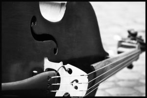 The Double Bass Man By Connorferster